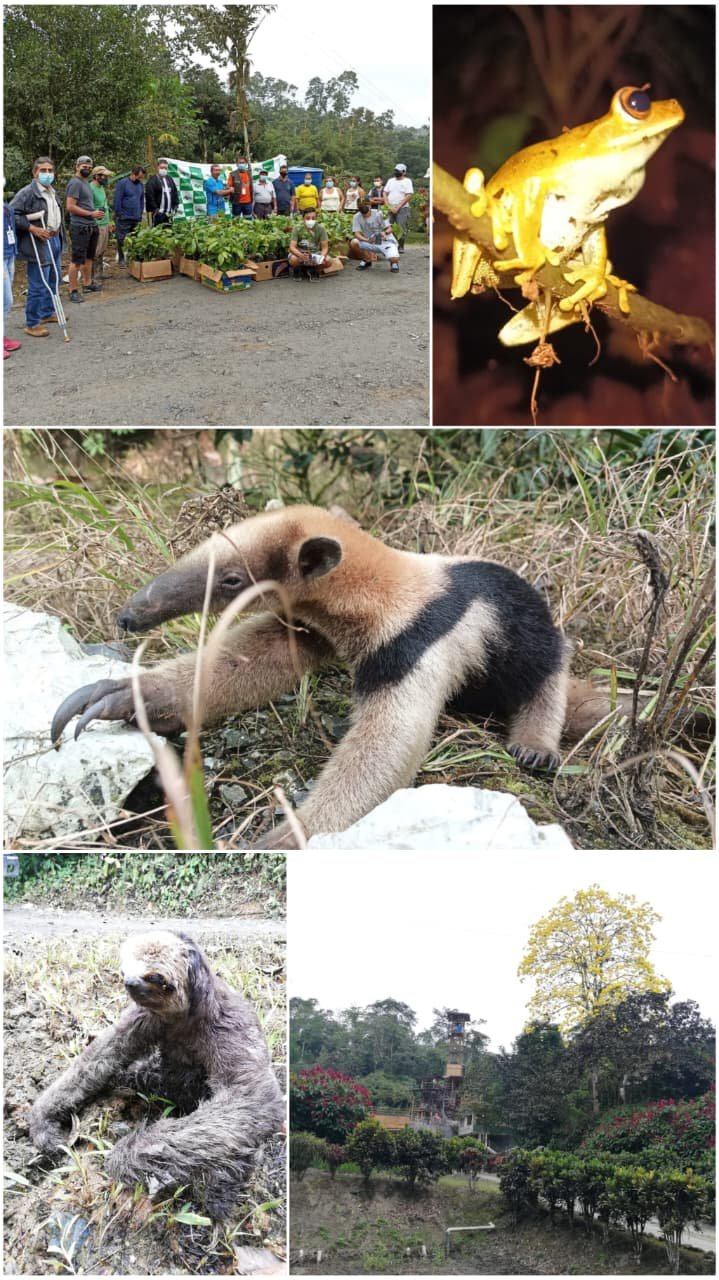 Gestión ambiental